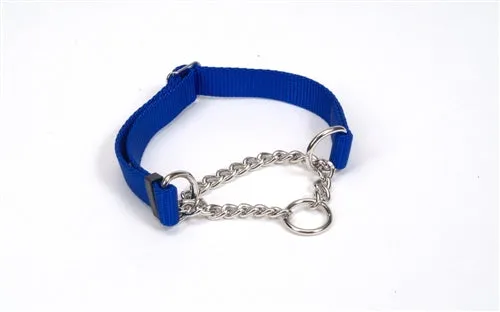 Coastal Check Training Collar for Dogs - Adjustable Blue