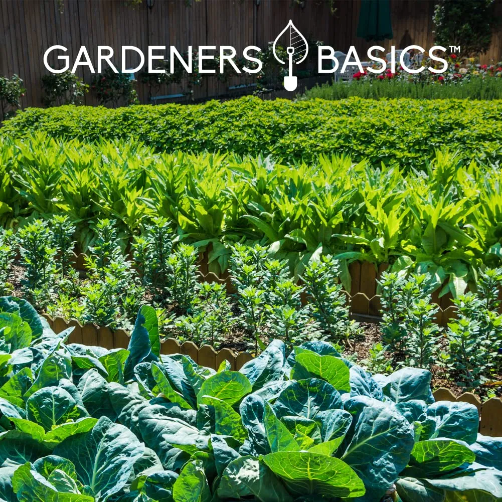 Gardeners Basics - Heirloom Seeds Over 17,000 Seeds Included - (35 Varieties)