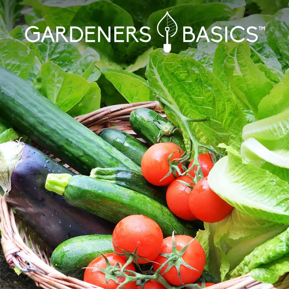 Gardeners Basics - Heirloom Seeds Over 17,000 Seeds Included - (35 Varieties)