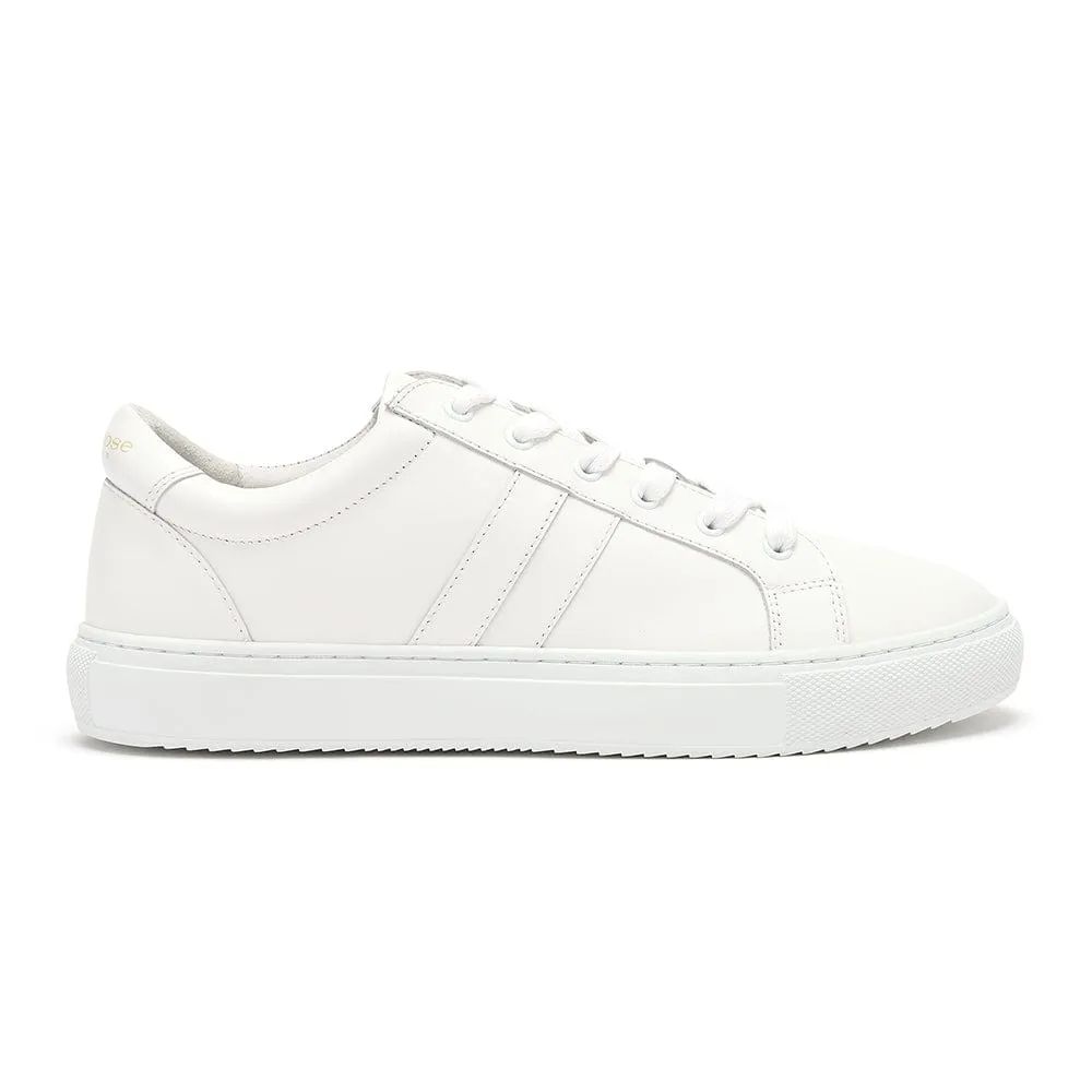 Hoxton - Stripes White & White Trainers